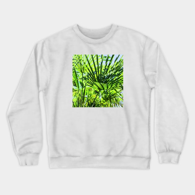 Palms Crewneck Sweatshirt by 17th